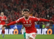 雷火电竞亚洲先驱-曼城力克本菲卡，迪玛利亚梅开二度意甲的简单介绍