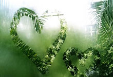 雷火电竞合作-关于河北华夏客场击败北京国安，夺得三分的信息