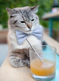 当上海队血拼掘金，塔图姆如何扛起一支城市的篮球魂