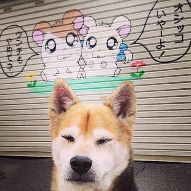 意甲内战，土耳其之魂！巴斯托尼冻结因莫比莱，赛后评分拉满诠释何谓现代铁闸