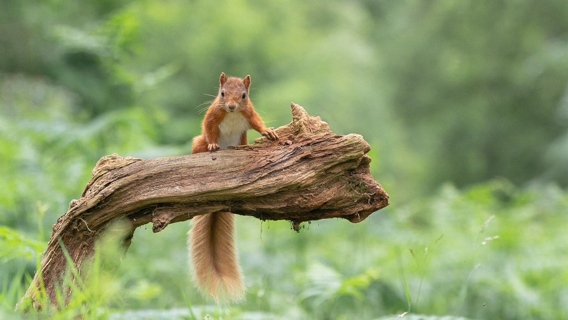 冰与火之歌，浙江绝杀夜与拉文的灼热天空
